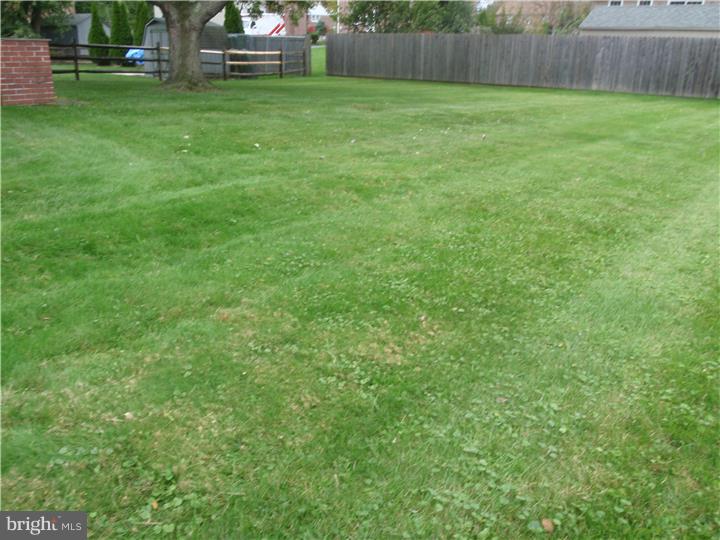 224 Worrell Drive Springfield, PA 19064 - Photo 23 of 25 Back Yard