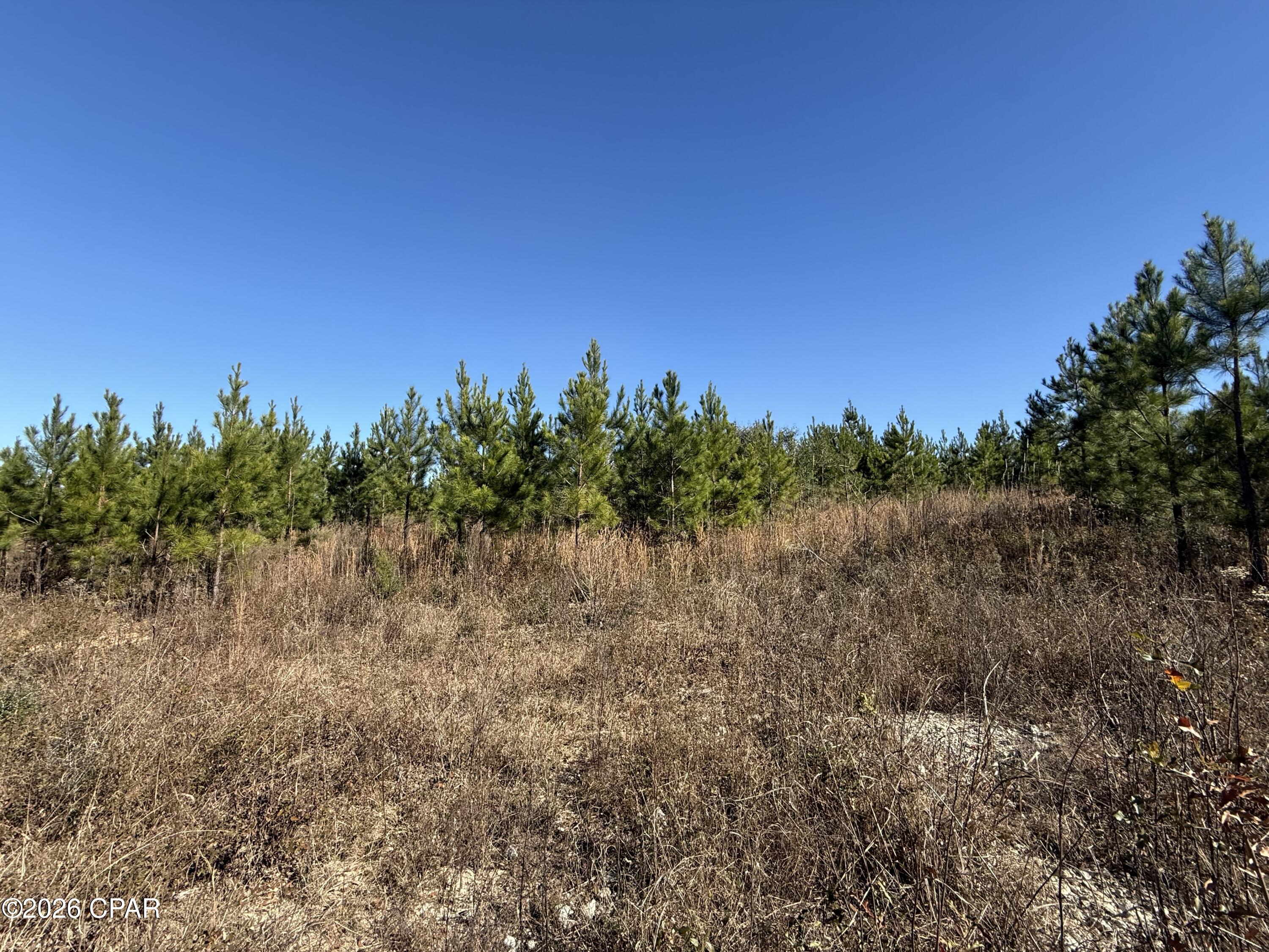 0 Tanner Road Marianna, FL 32448 - Photo 4 of 9