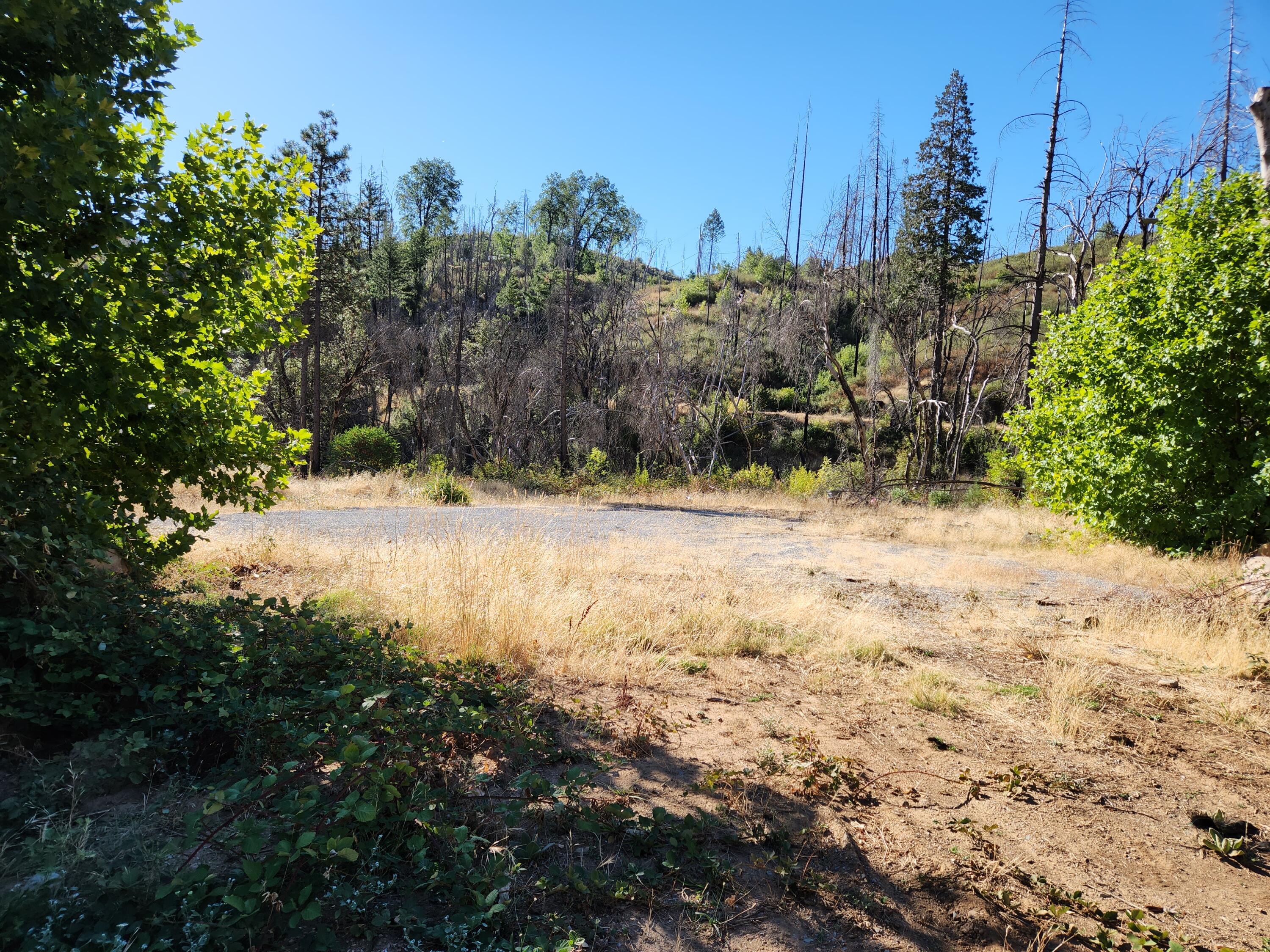 17031 Slate Creek Road Lakehead, CA 96051 - Photo 8 of 47 20240908_092430