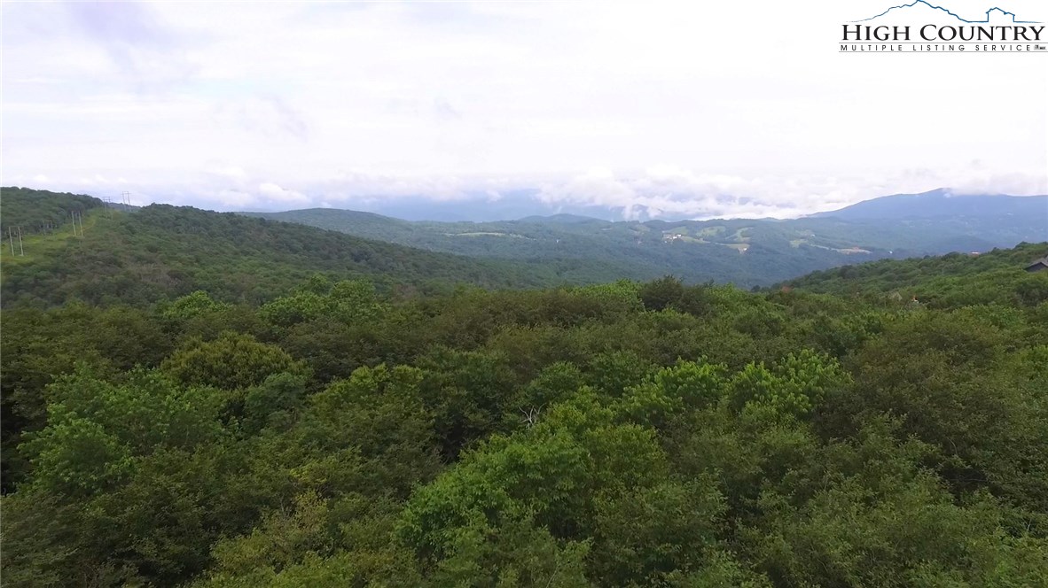 Pinnacle Ridge Road, Unit 1 Beech Mountain, NC 28604 - Photo 3 of 6 Gallery Image 3