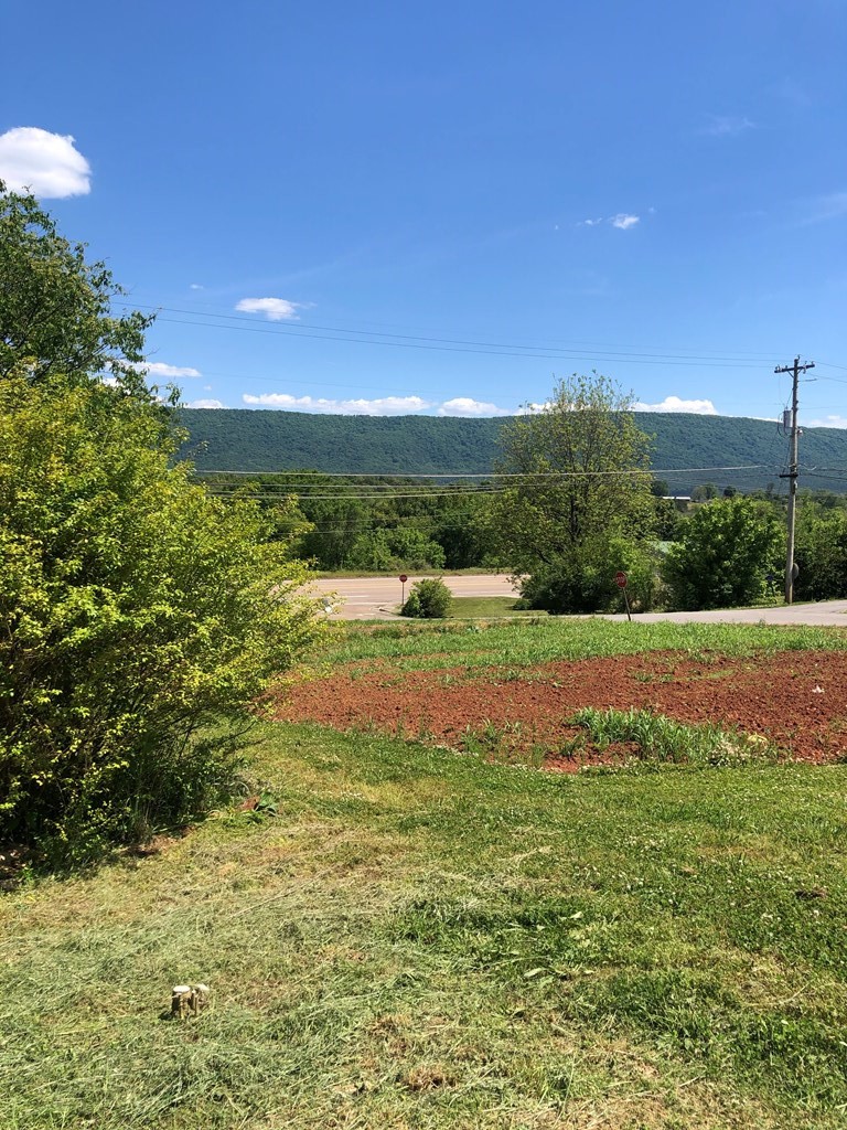 134 County Road Athens, TN 37303 - Photo 6 of 11 Gallery Image 6