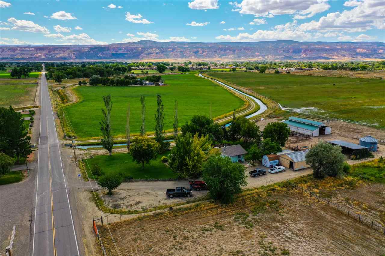 1181 19 Road Fruita, CO 81521 - Photo 26 of 26 a view of a garden with an outdoor space