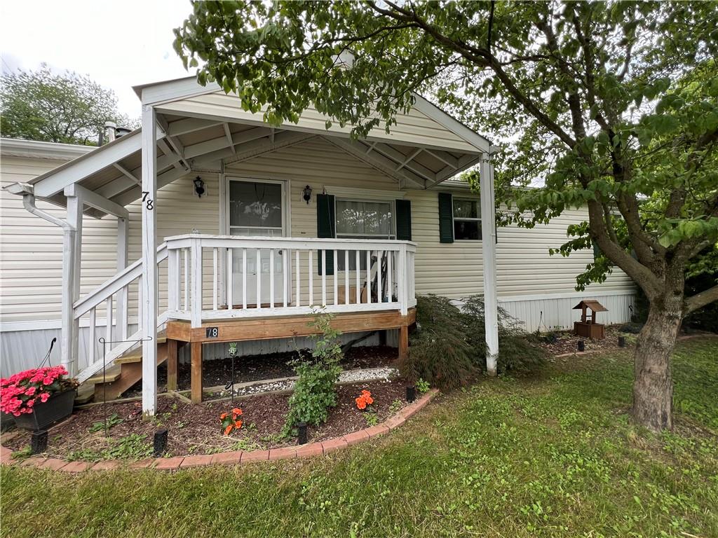 Beautiful Flowers to Greet you each Morning