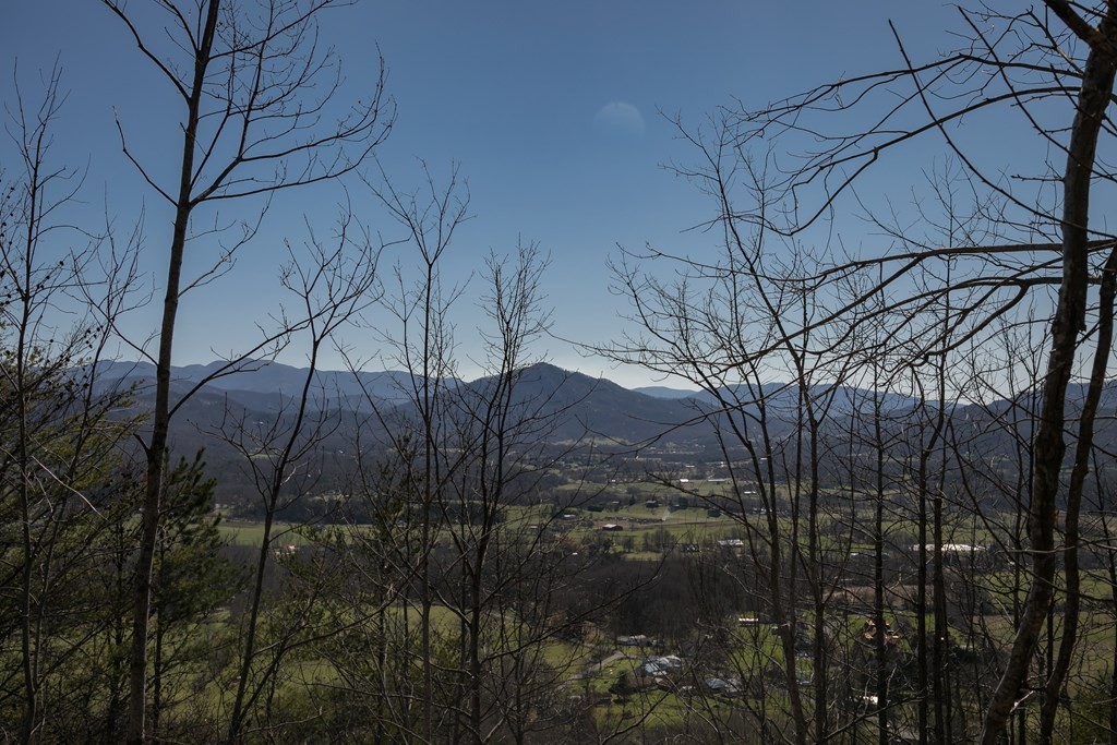 2 Which A Way Sevierville, TN 37862 - Photo 7 of 22