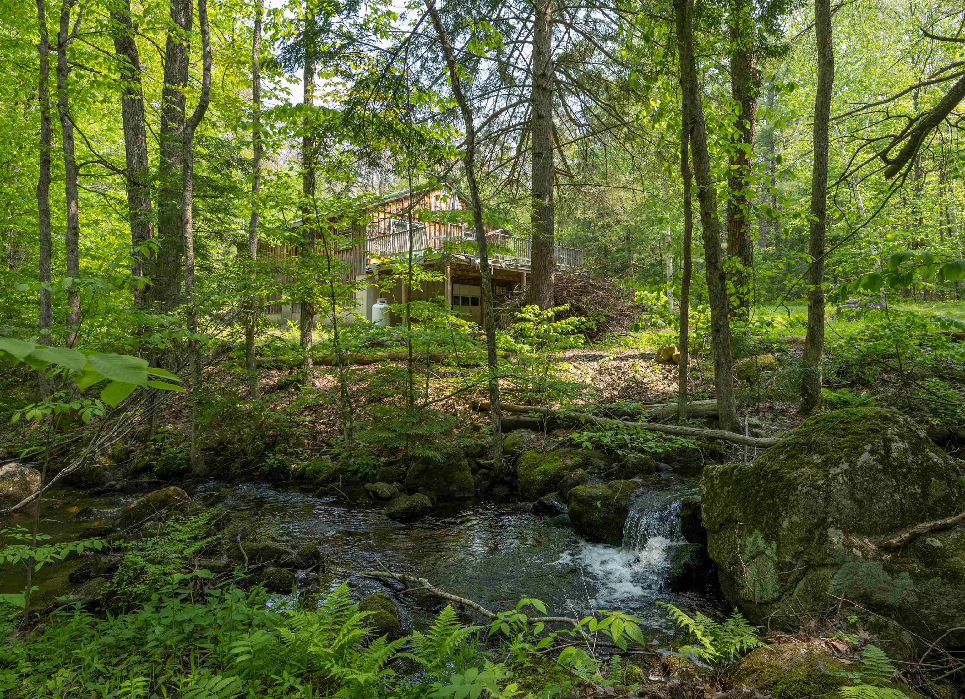 16 Falls Road Deering, NH 03244 - Photo 5 of 20
