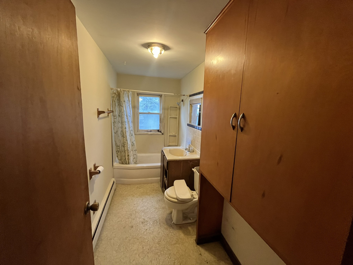 25830 South Chestnut Road Monee, IL 60449 - Photo 18 of 19