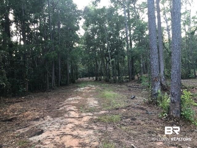 17793 River Road Summerdale, AL 36580 - Photo 14 of 17