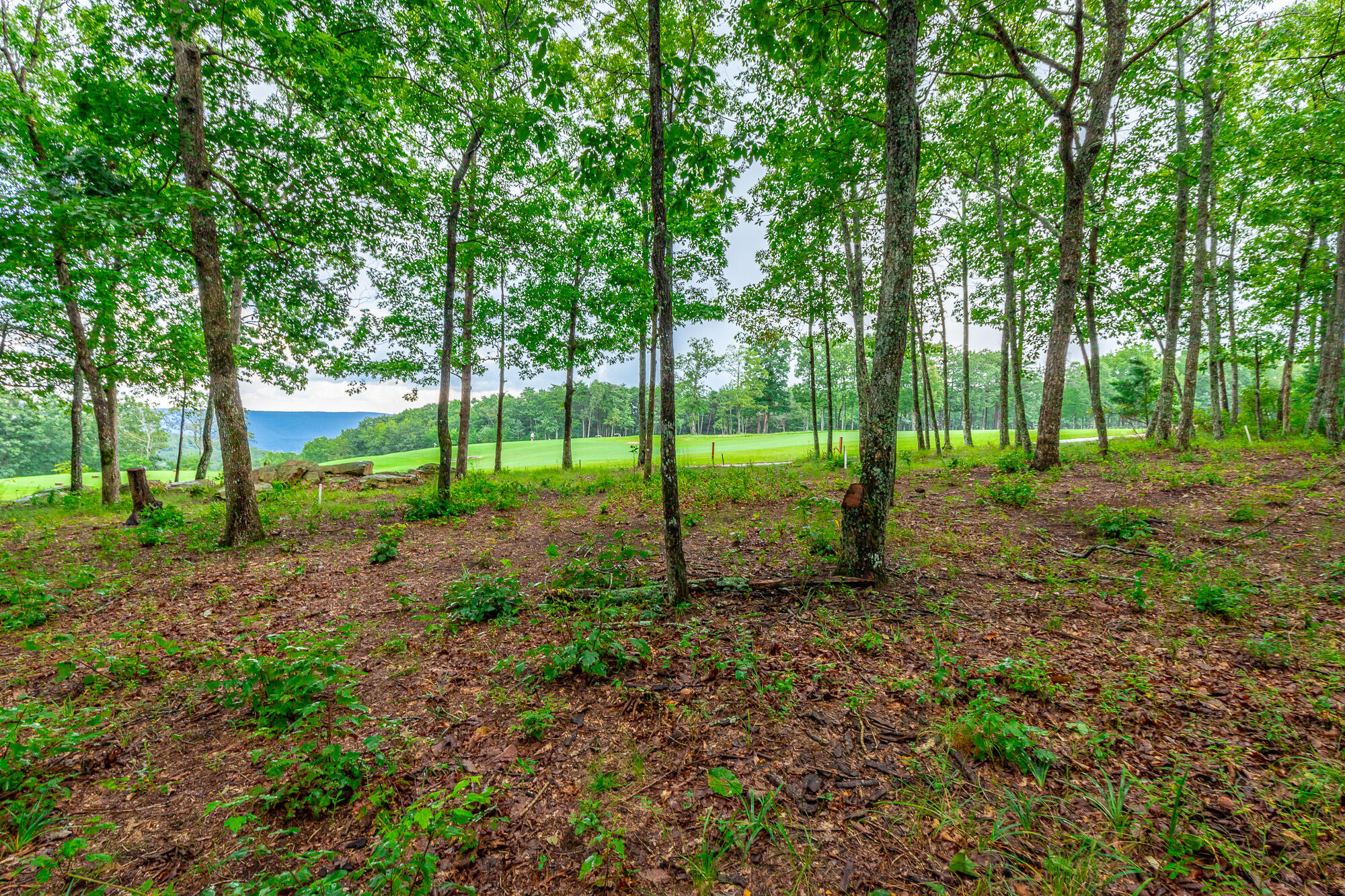 0 Rushing Water Trail, Unit LOT A8 Rising Fawn, GA 30738 - Photo 11 of 57 Rushing Water Trail Lot A-8 HD-8