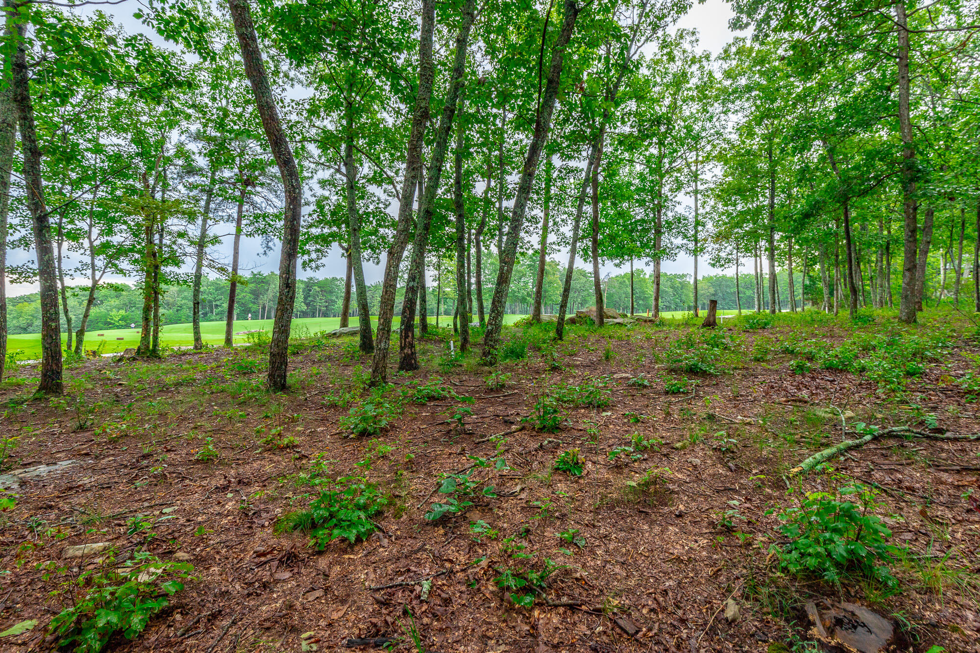0 Rushing Water Trail, Unit LOT A8 Rising Fawn, GA 30738 - Photo 12 of 57 Rushing Water Trail Lot A-8 HD-9