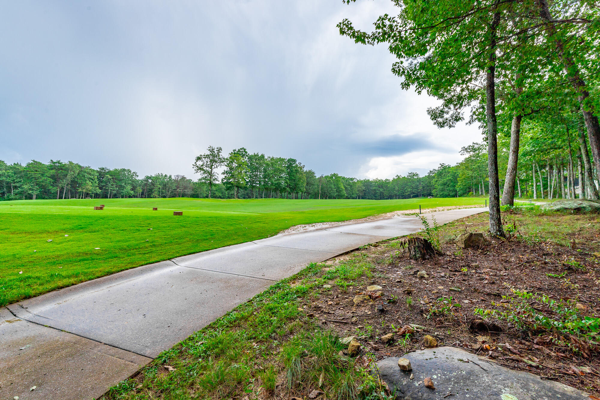 0 Rushing Water Trail, Unit LOT A8 Rising Fawn, GA 30738 - Photo 13 of 57 Rushing Water Trail Lot A-8 HD-10