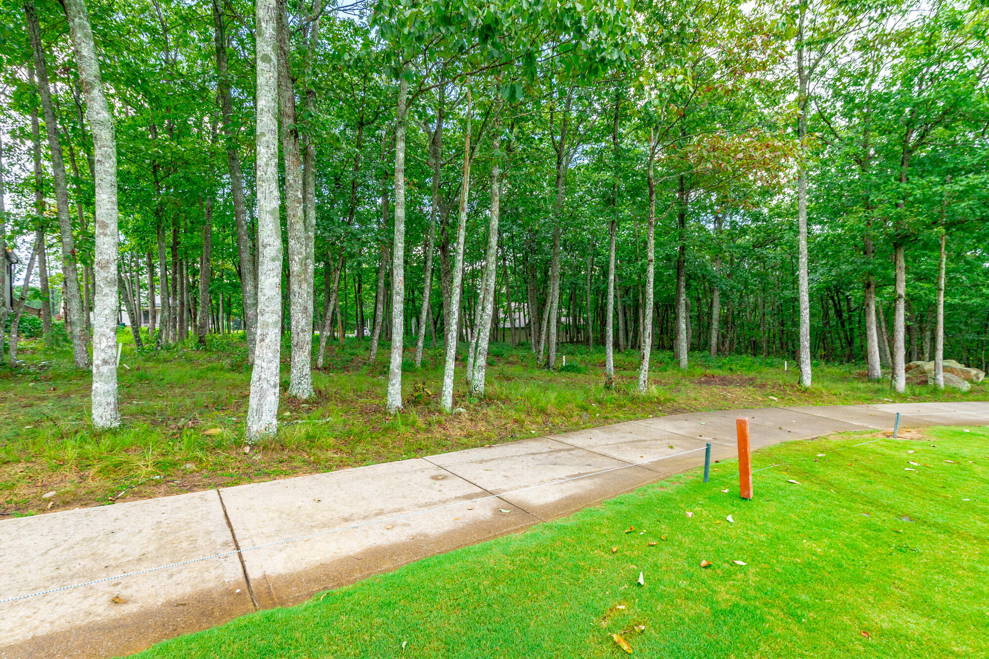 0 Rushing Water Trail, Unit LOT A8 Rising Fawn, GA 30738 - Photo 15 of 57 Rushing Water Trail Lot A-8 HD-14