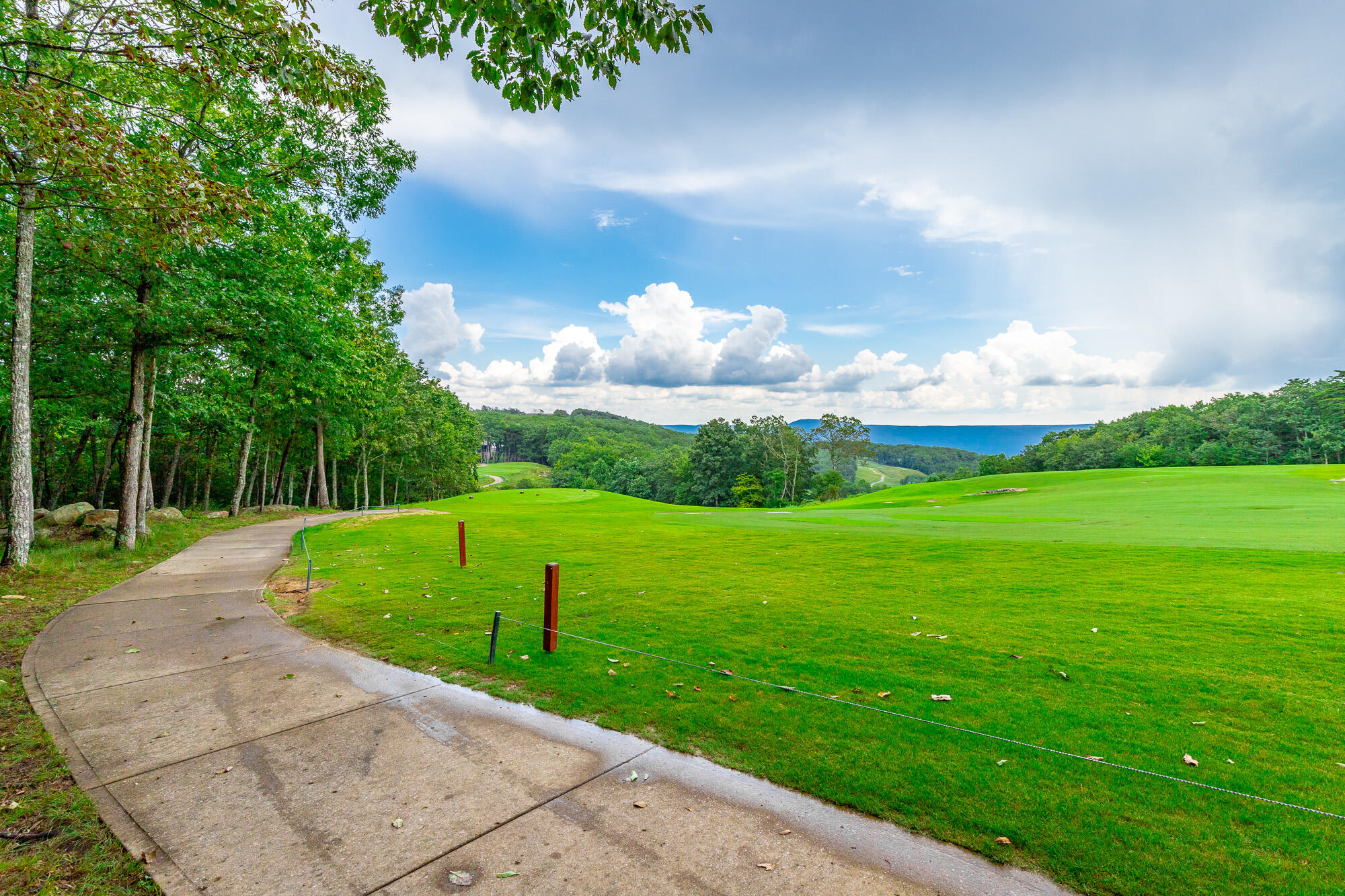 0 Rushing Water Trail, Unit LOT A8 Rising Fawn, GA 30738 - Photo 16 of 57 Rushing Water Trail Lot A-8 HD-15