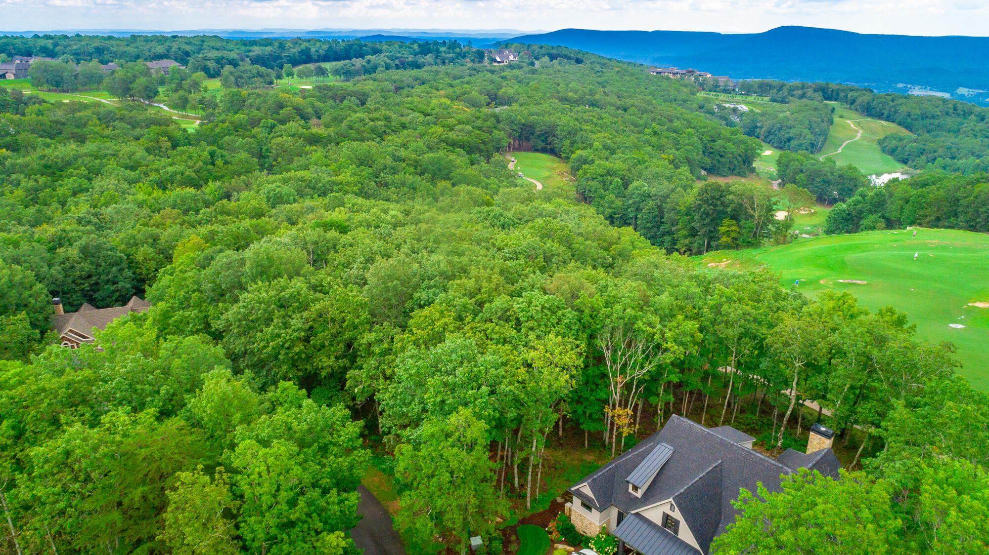 0 Rushing Water Trail, Unit LOT A8 Rising Fawn, GA 30738 - Photo 39 of 57 Rushing Water Trail Lot A-8 HD-48