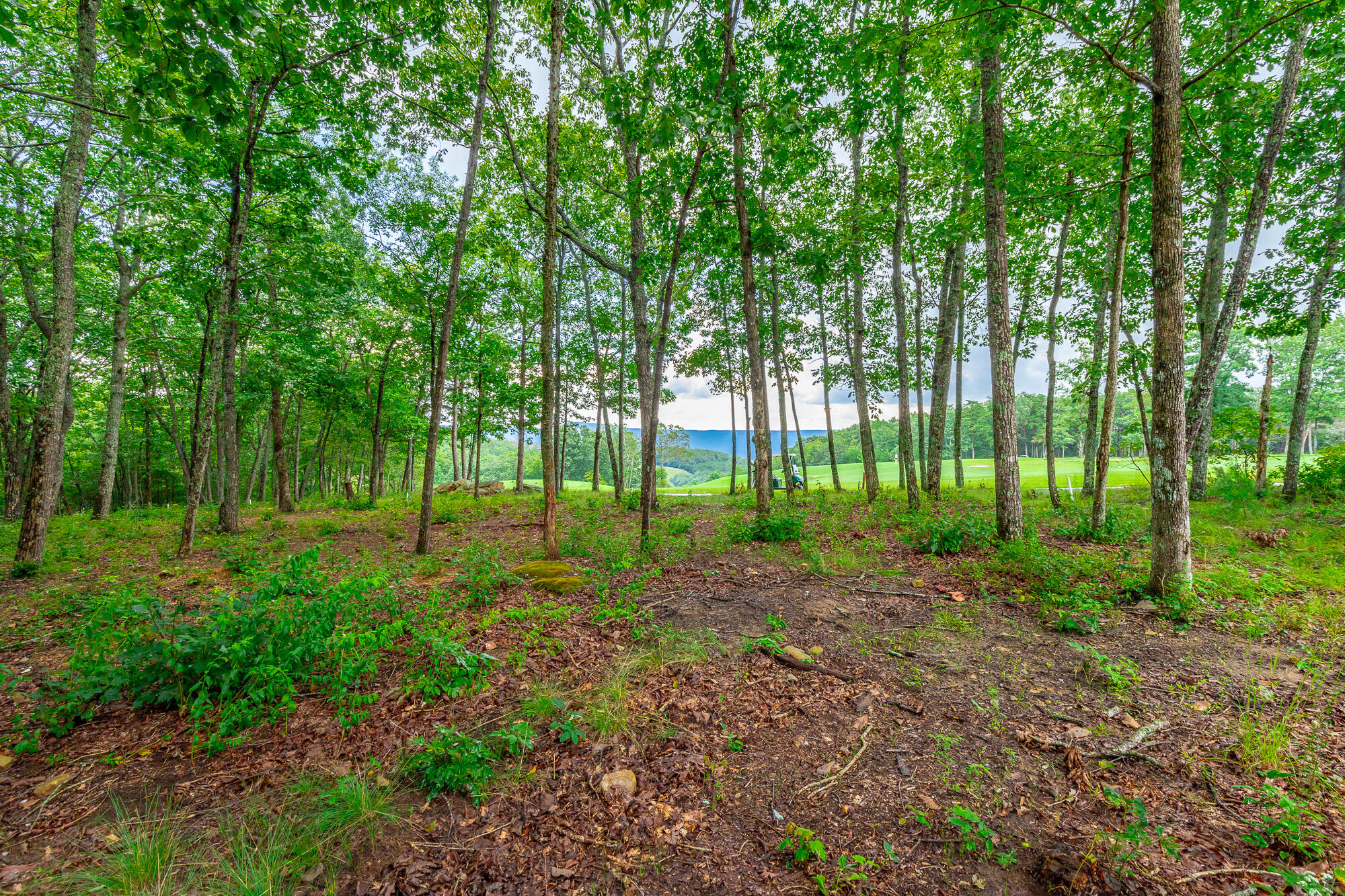 0 Rushing Water Trail, Unit LOT A8 Rising Fawn, GA 30738 - Photo 10 of 57 Rushing Water Trail Lot A-8 HD-7