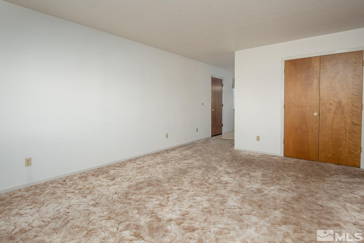 745 Bluerock Road Gardnerville, NV 89460 - Photo 3 of 22 Photo 3