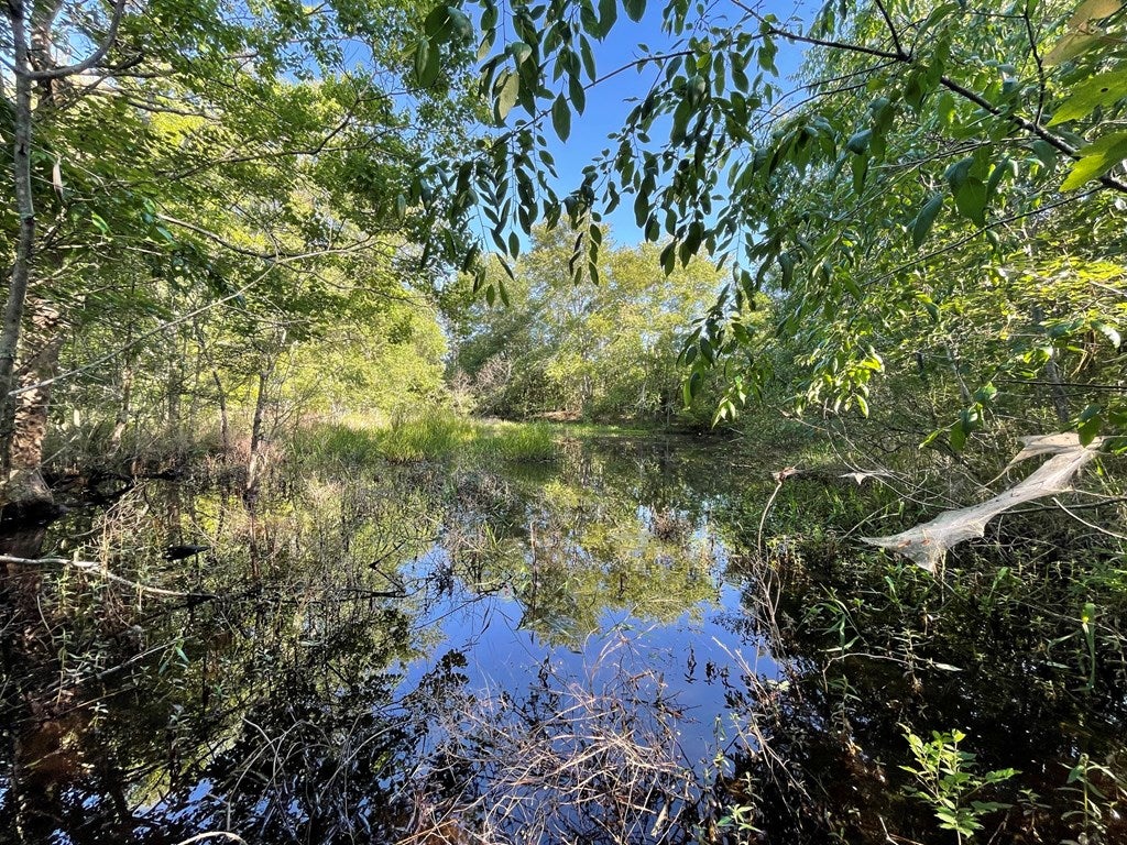 17862 State Rte 188 Coolidge, GA 31738 - Photo 54 of 72 Pond (See Topo Map Image)