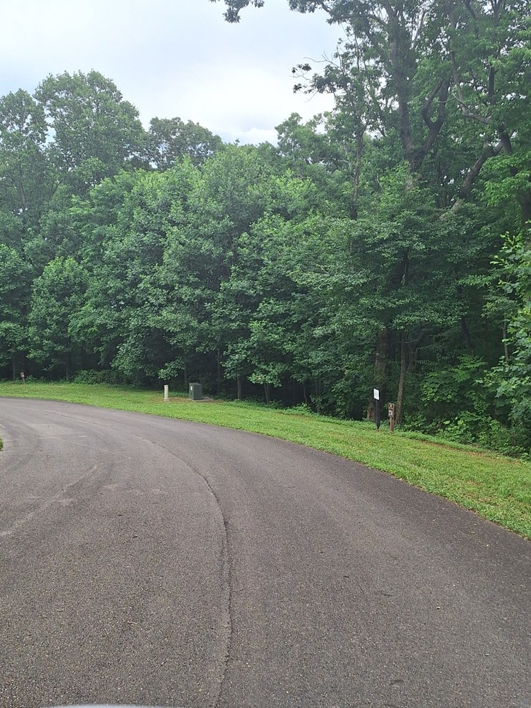 274 Andes Ridge Morganton, GA 30560 - Photo 11 of 24