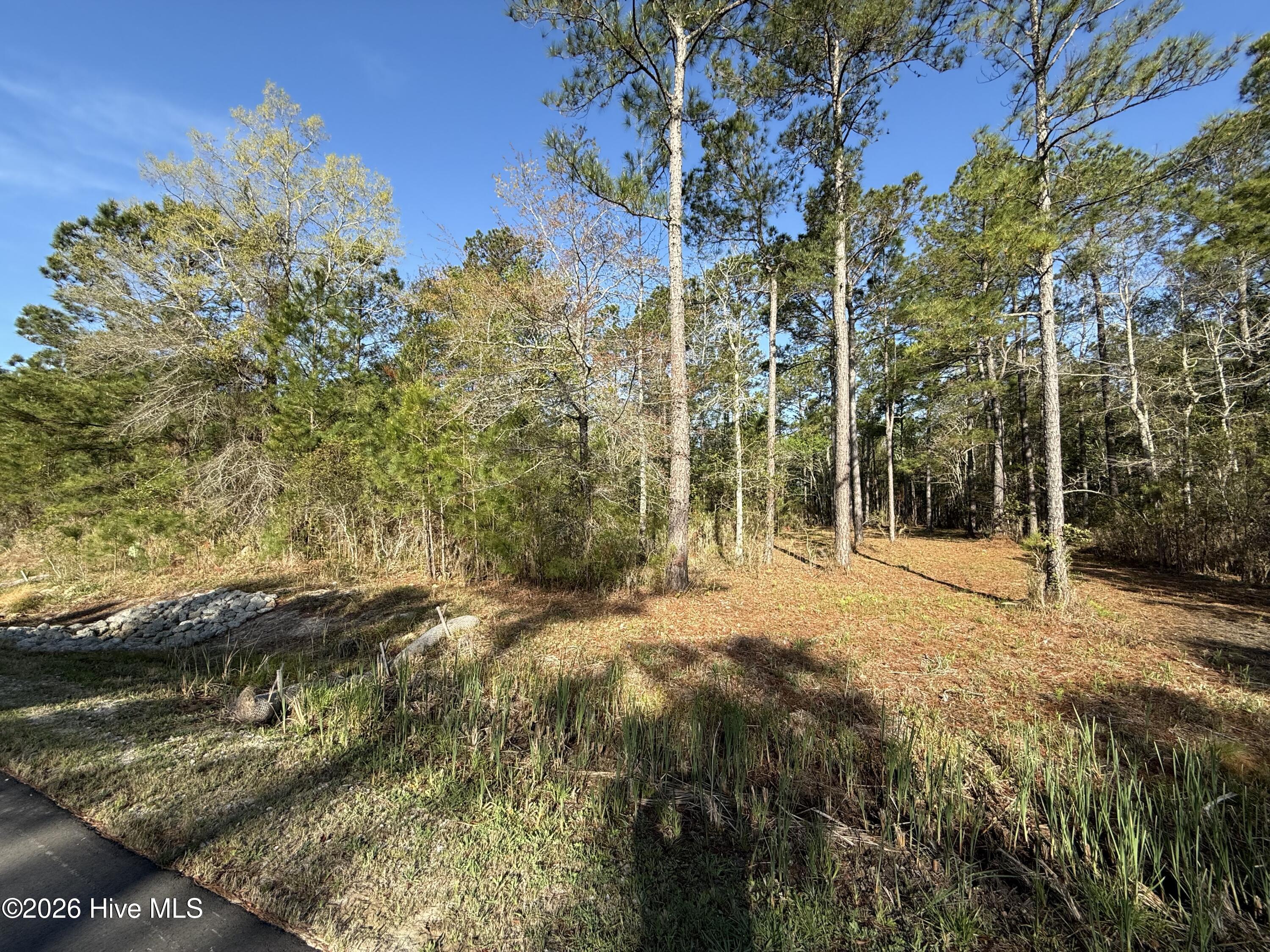 125 Shell Castle Lane Vandemere, NC 28587 - Photo 2 of 7 IMG_0842