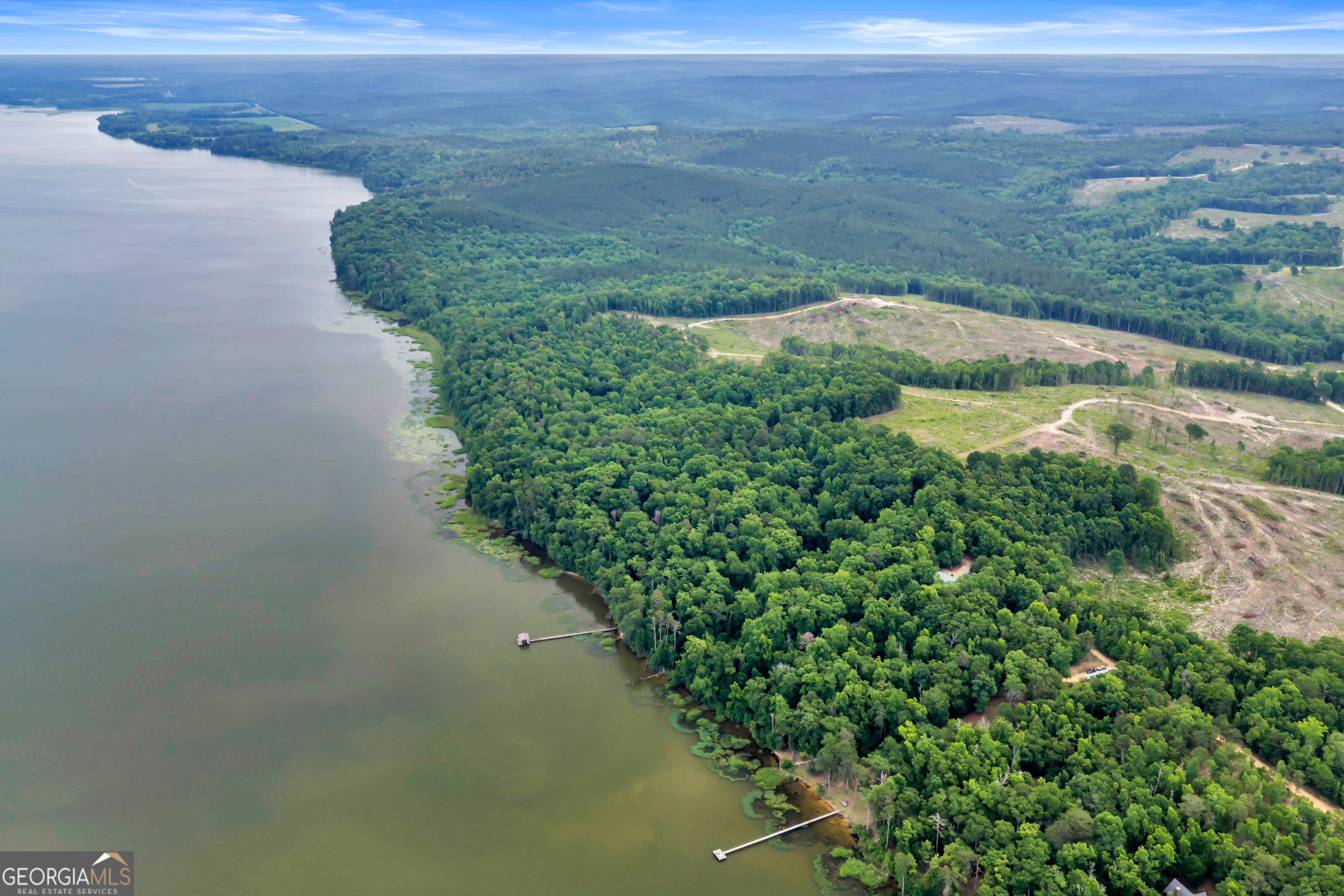 473 Vining Branch Road Georgetown, GA 39854 - Photo 14 of 43 a view of a lake with a mountain in the background