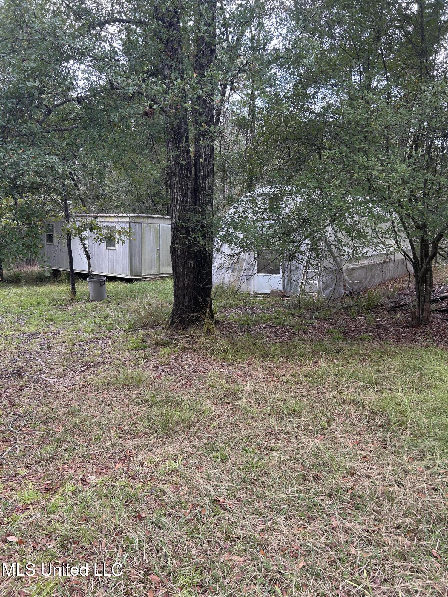 226 Pine View Circle Flora, MS 39071 - Photo 7 of 34 IMG_0704