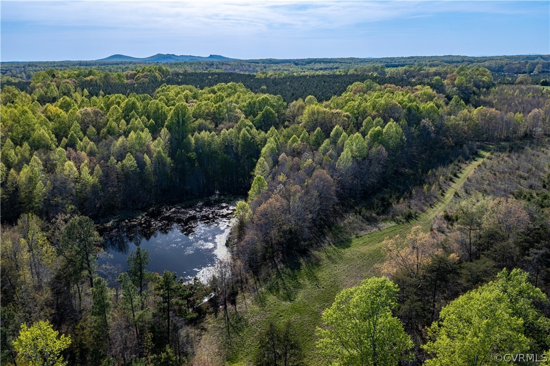 Lot 7 Locust Grove Road Cumberland, VA 23040 - Photo 4 of 12 Gallery Image 4