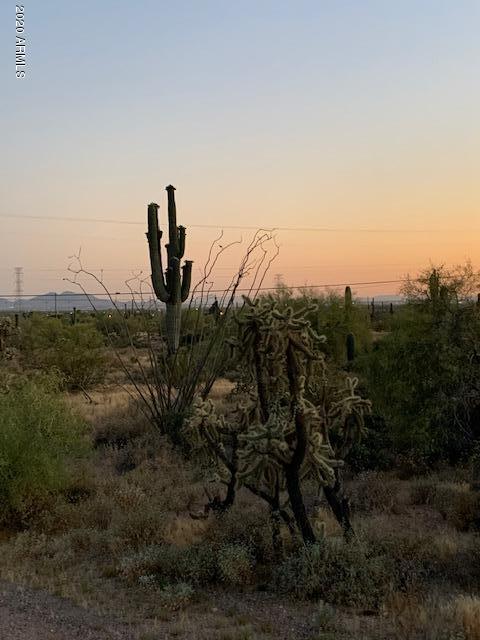 4058 North Wolverine Pass Road, Unit 36 Apache Junction, AZ 85119 - Photo 10 of 13 IMG_1328