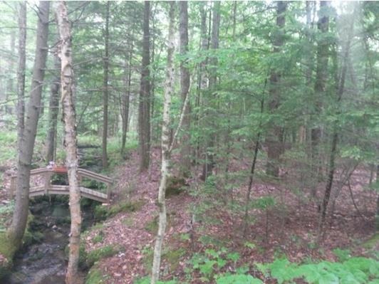 67 Brayman Road Campton, NH 03223 - Photo 2 of 9