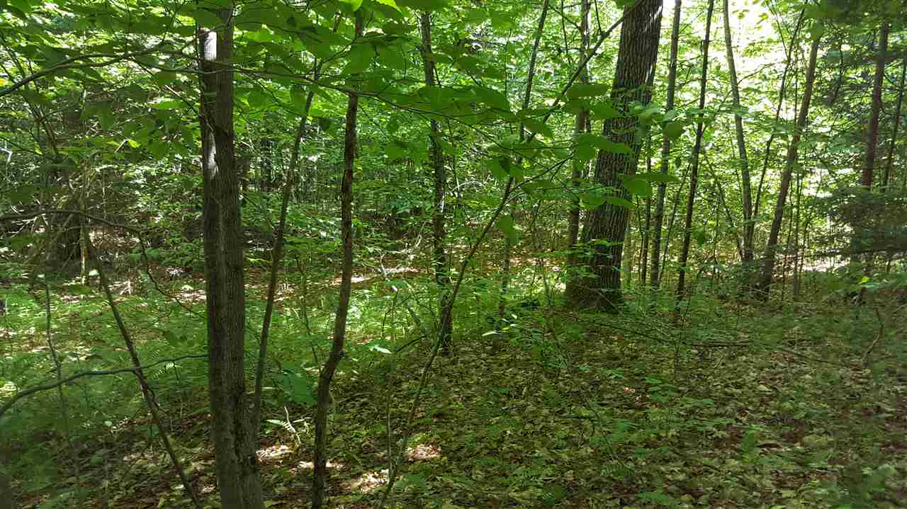 67 Brayman Road Campton, NH 03223 - Photo 3 of 9