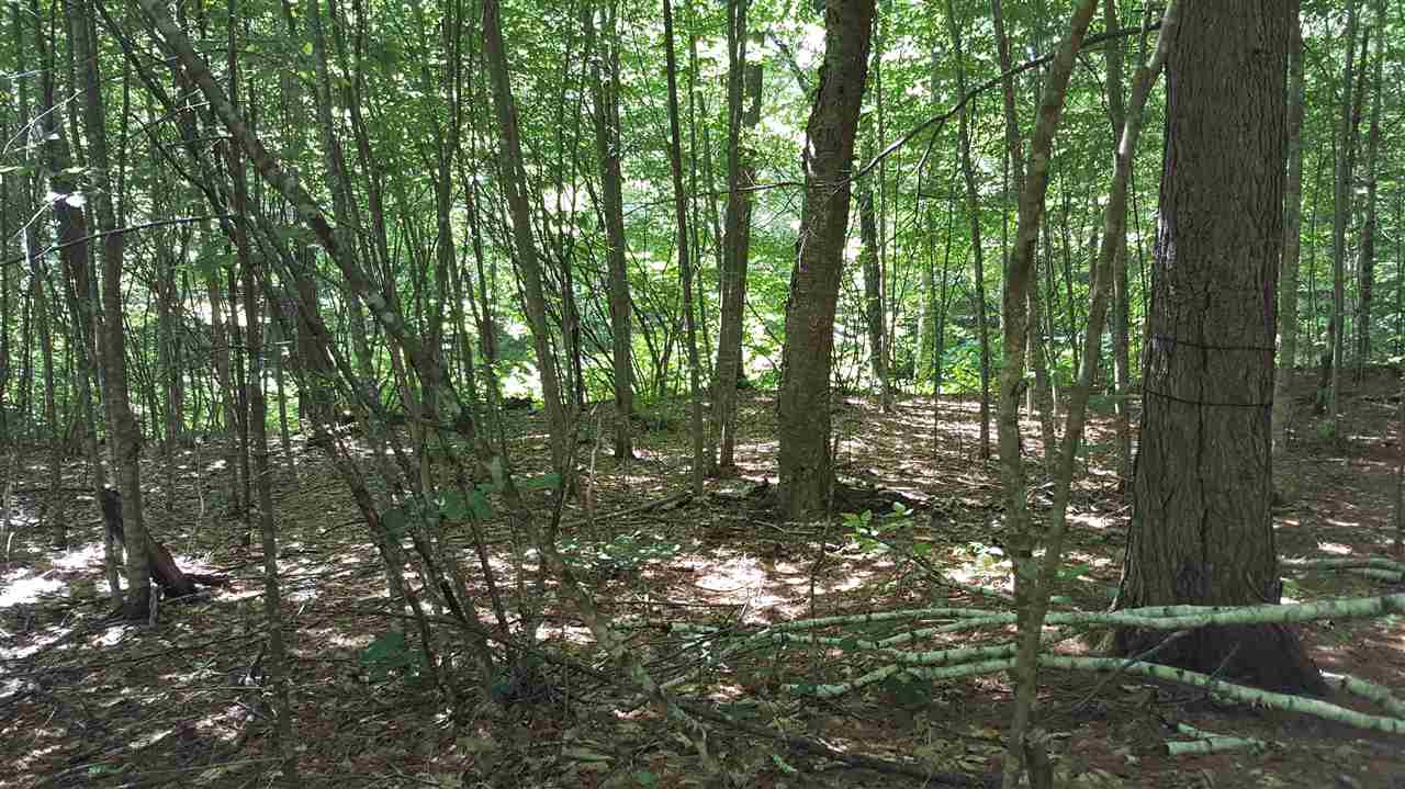 67 Brayman Road Campton, NH 03223 - Photo 4 of 9