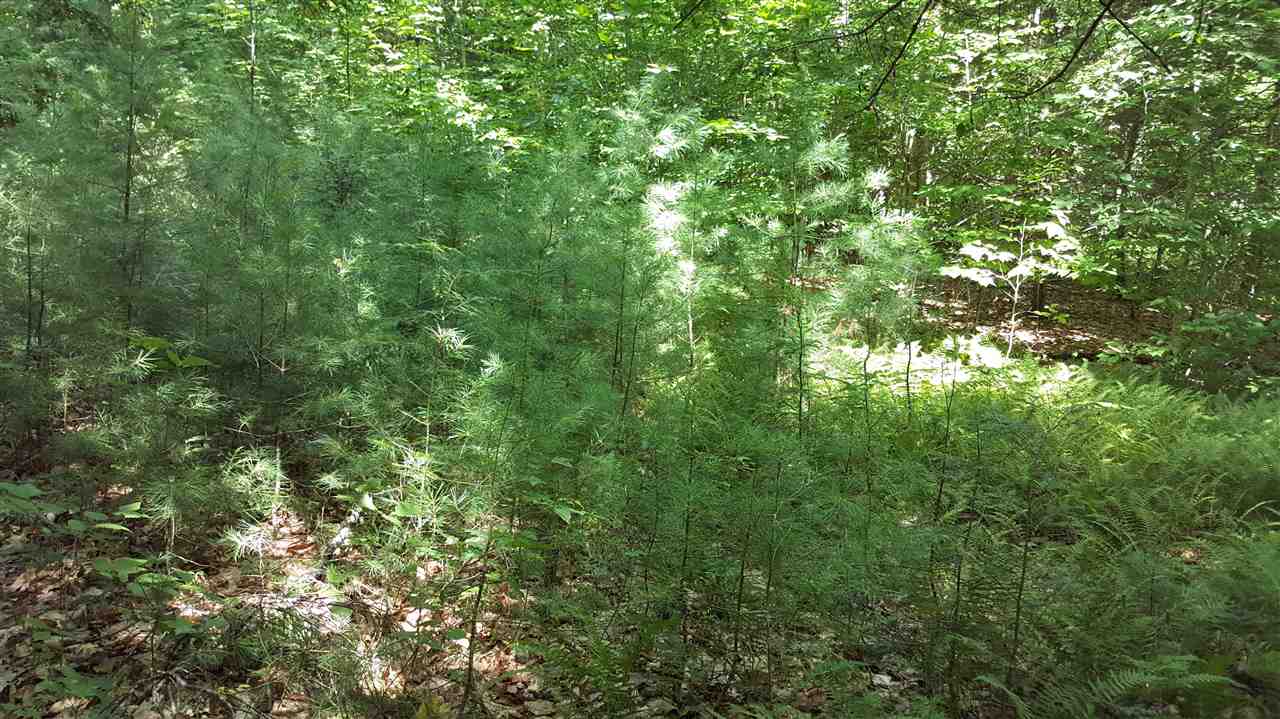 67 Brayman Road Campton, NH 03223 - Photo 5 of 9