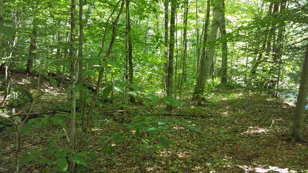 67 Brayman Road Campton, NH 03223 - Photo 7 of 9