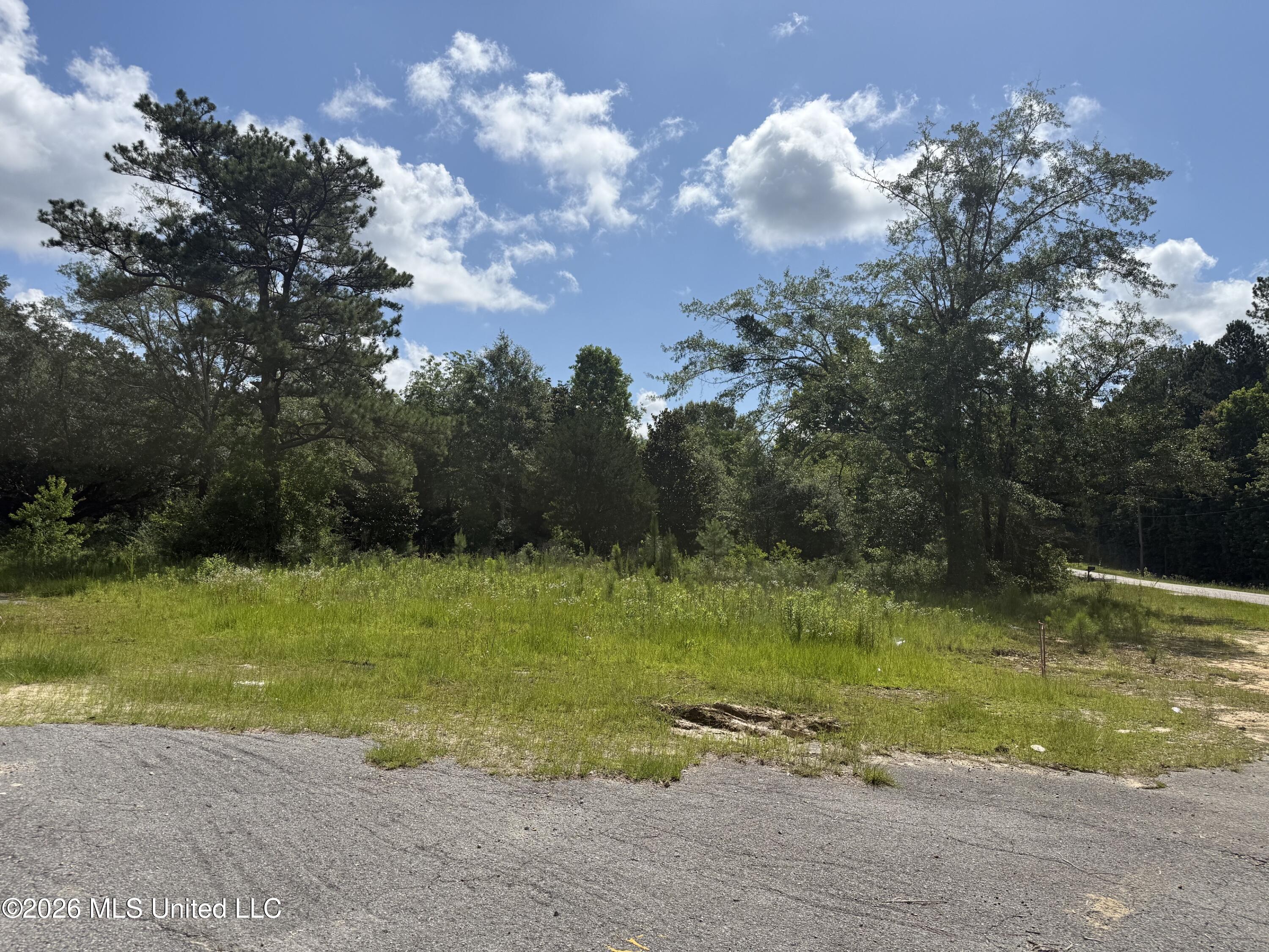 22280 Success Road Saucier, MS 39574 - Photo 2 of 4 lot2