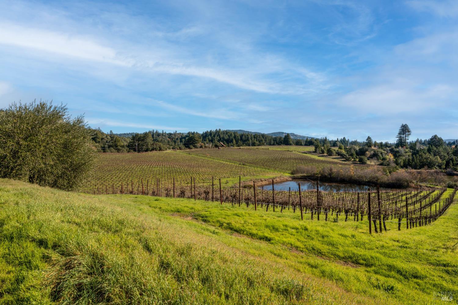 2300 Guntly Road Philo, CA 95466 - Photo 15 of 17