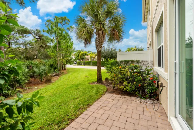 a view of a garden with potted plants