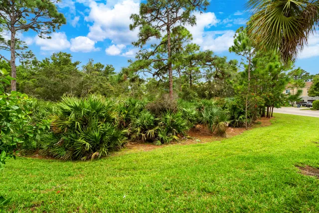 a view of yard with green space