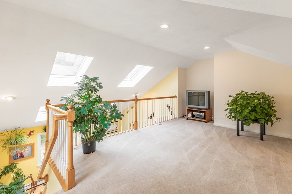 21 Longacre Road Needham, MA 02492 - Photo 20 of 41 a view of a livingroom with furniture and a potted plant
