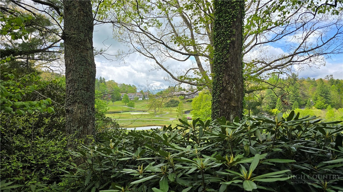 654 Goforth Road Blowing Rock, NC 28605 - Photo 2 of 34 a backyard of a house with lots of green space