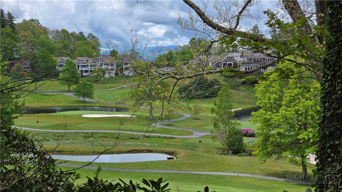 654 Goforth Road Blowing Rock, NC 28605 - Photo 3 of 34