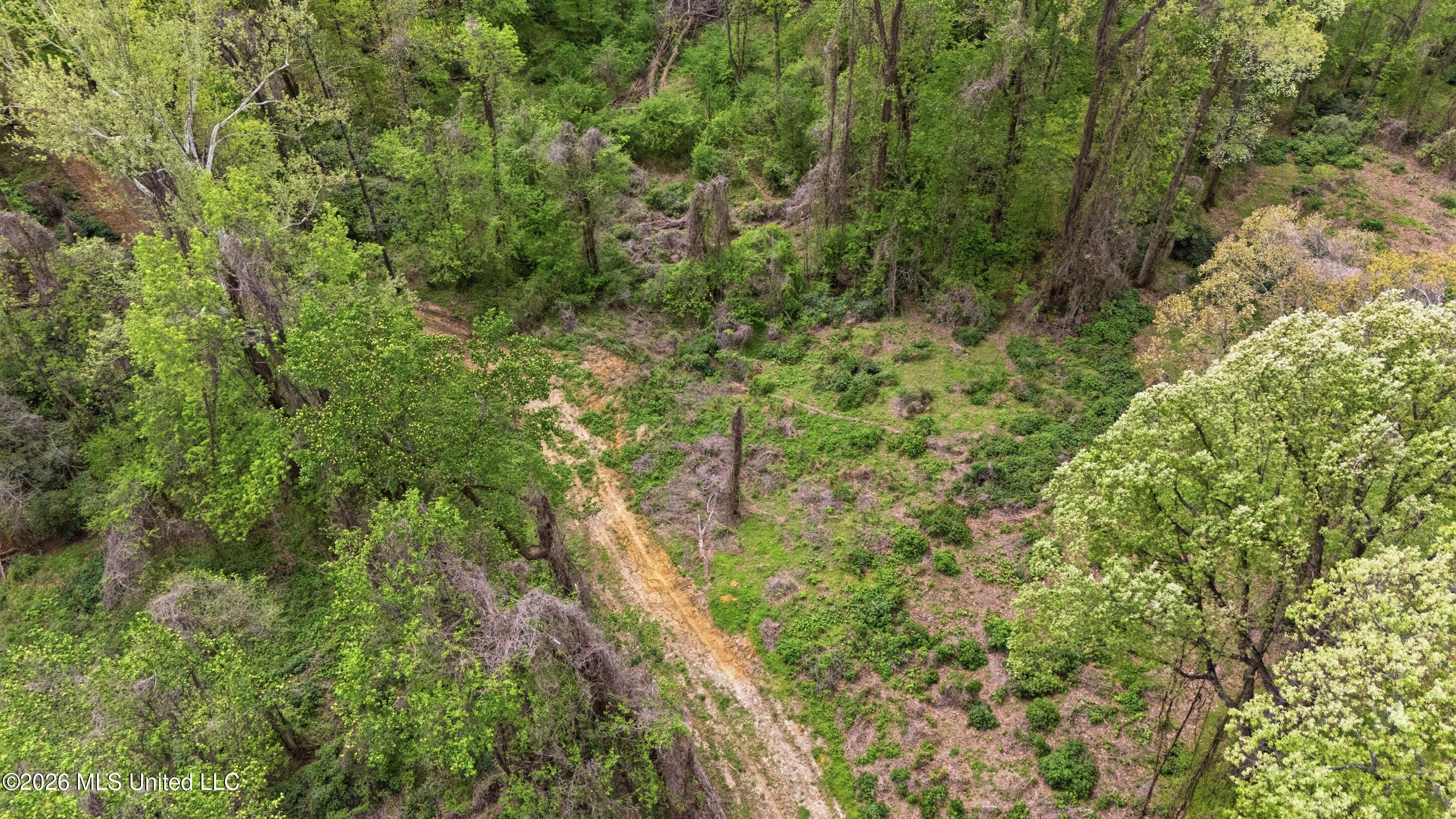 1 Nail Road Walls, MS 38680 - Photo 11 of 18 bartlett_graves_-_horn_lake_land_010