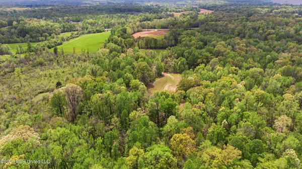 $390,000 | 7 Nail Road, Walls, MS 38680