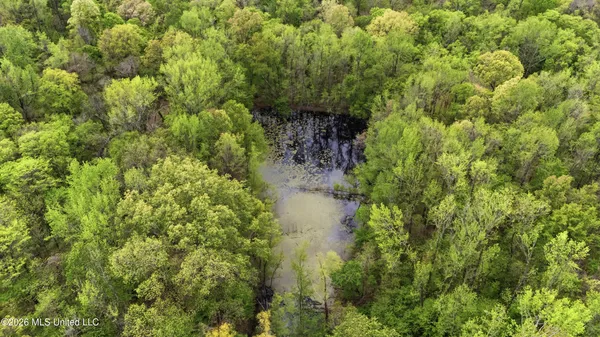 $390,000 | 7 Nail Road, Walls, MS 38680