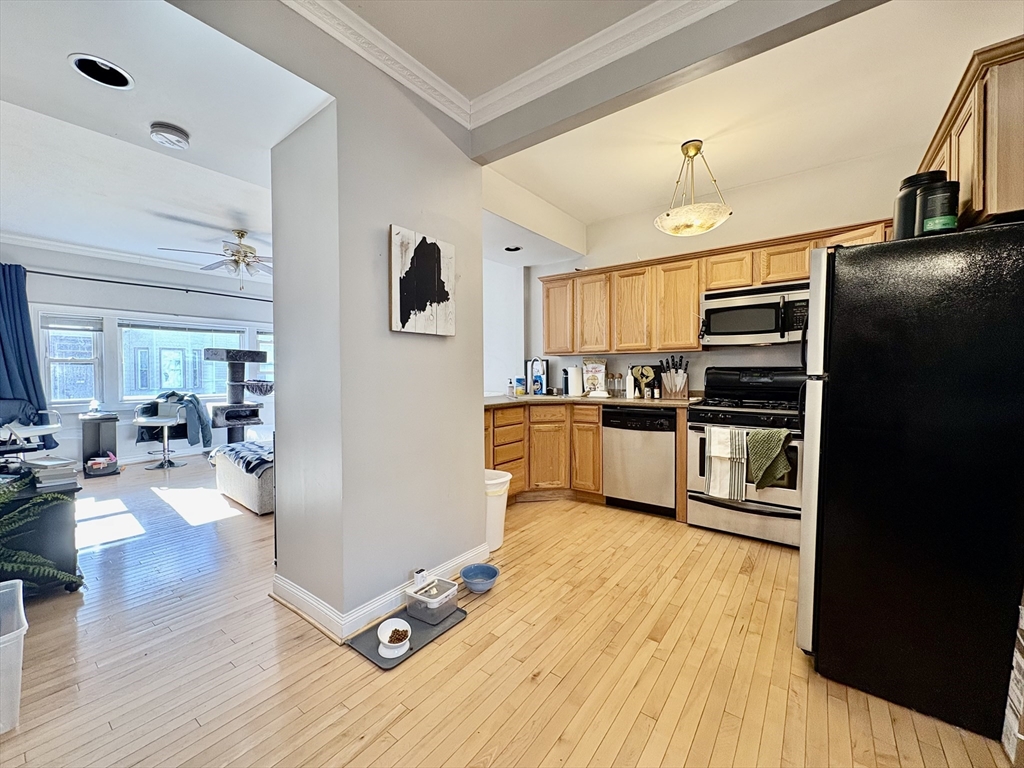 666 East 5th Street, Unit 1 Boston, MA 02127 - Photo 3 of 11