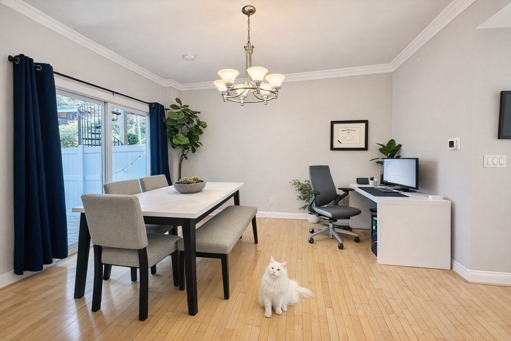 666 East 5th Street, Unit 1 Boston, MA 02127 - Photo 7 of 11