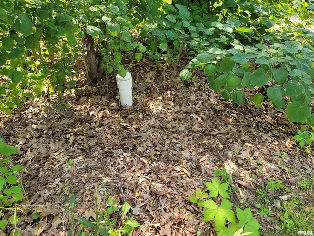 $136,900 | 7324 State Rte 161 Extension, Iuka, IL 62849