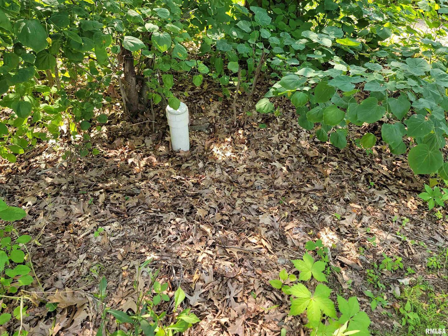 7324 State Rte 161 Extension Iuka, IL 62849 - Photo 57 of 78 a backyard of a house