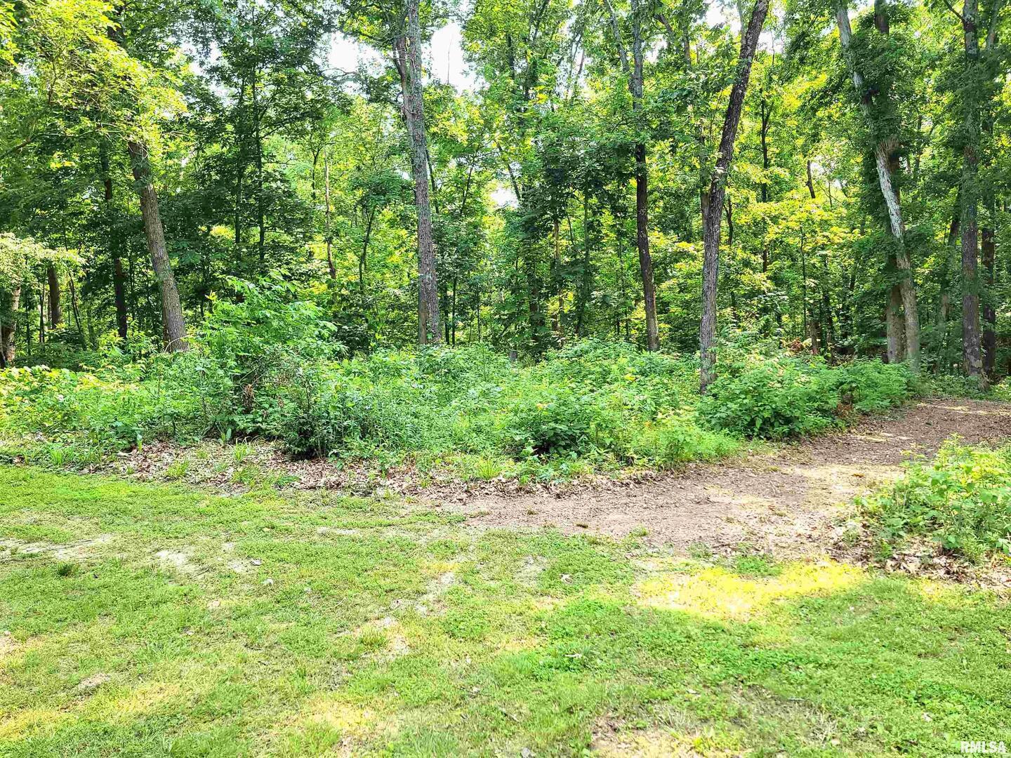 7324 State Rte 161 Extension Iuka, IL 62849 - Photo 58 of 78 a view of a yard with plants and large trees