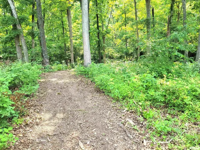 $136,900 | 7324 State Rte 161 Extension, Iuka, IL 62849