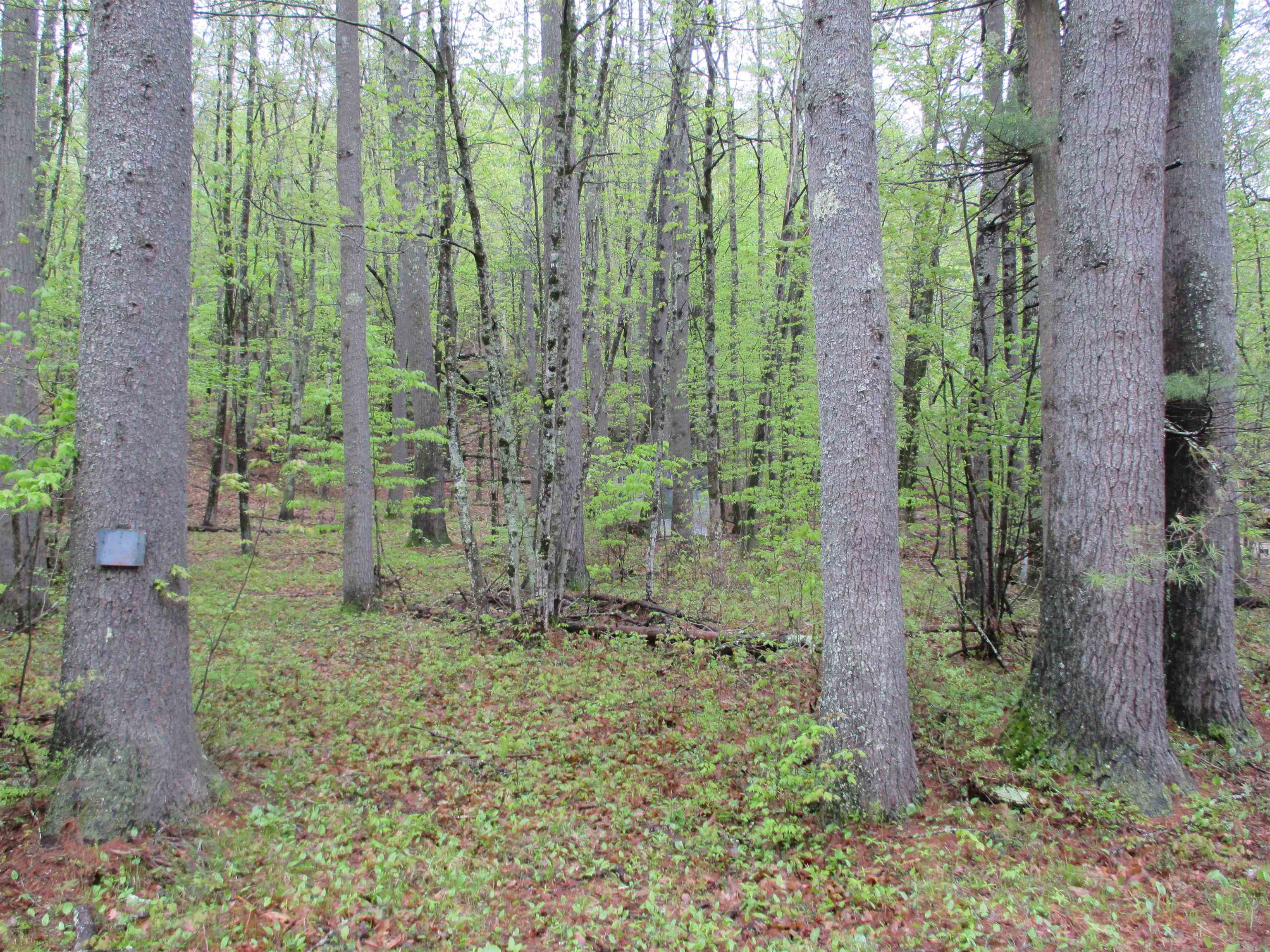 72 Brewster Road Barrington, NH 03825 - Photo 1 of 4