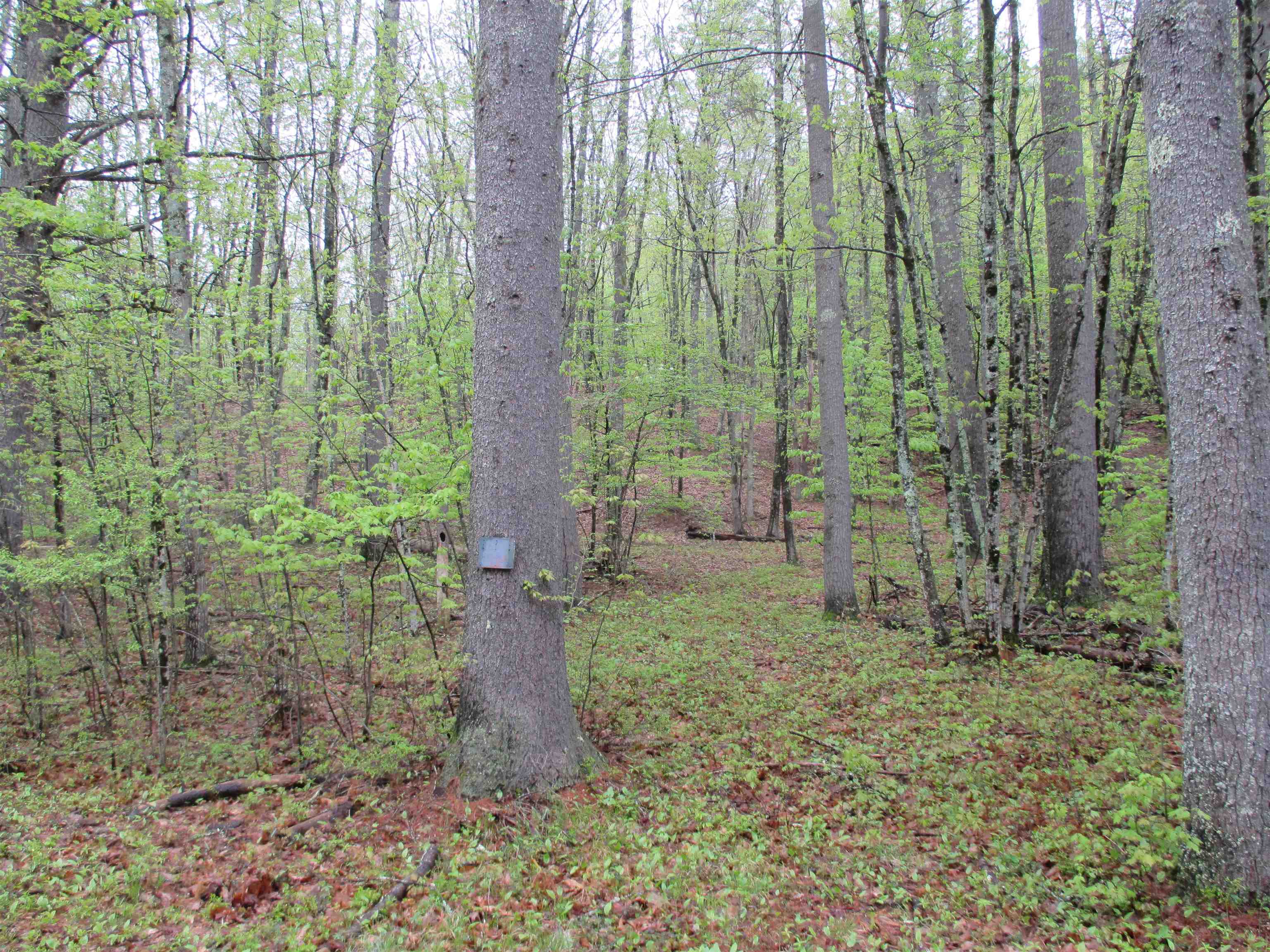 72 Brewster Road Barrington, NH 03825 - Photo 2 of 4
