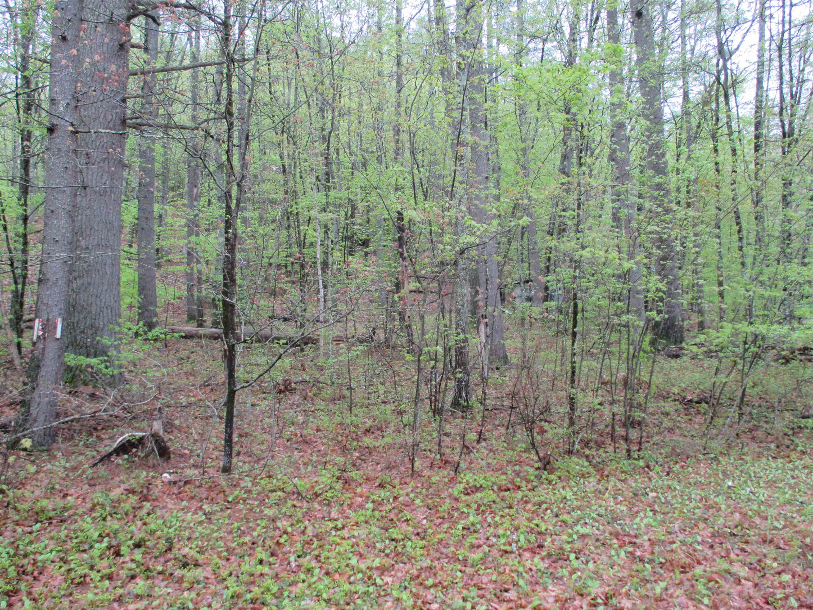 72 Brewster Road Barrington, NH 03825 - Photo 3 of 4